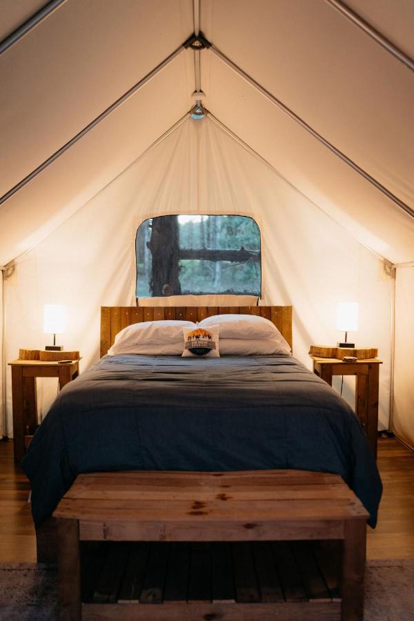 מלון בראנסון Treehouse Cozy Glamping Site מראה חיצוני תמונה