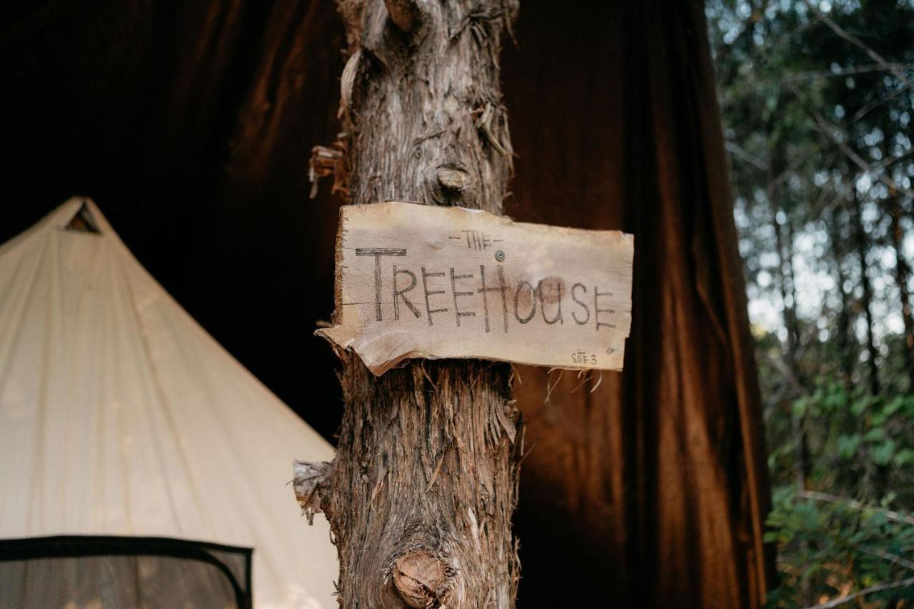 מלון בראנסון Treehouse Cozy Glamping Site מראה חיצוני תמונה